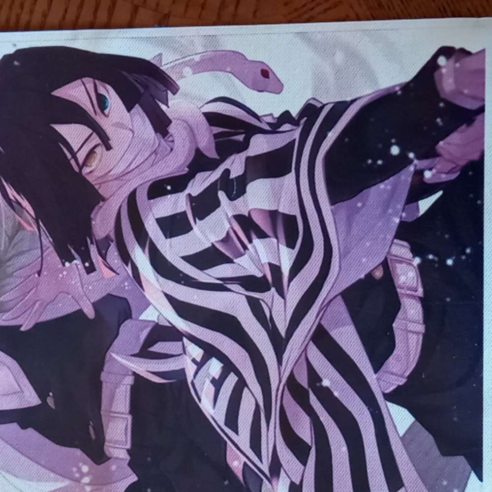 Demon Slayer Obanai Iguro and Mitsuri Kanroji Canvas Picture - Picture 3 of 4